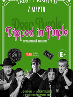 Трибьют Deep Purple - группа Dipped In Purple (Тринити) (ПЕРЕНОС НА МАРТ 2022)